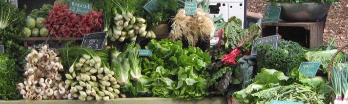 Gaining Ground Farm photo 13