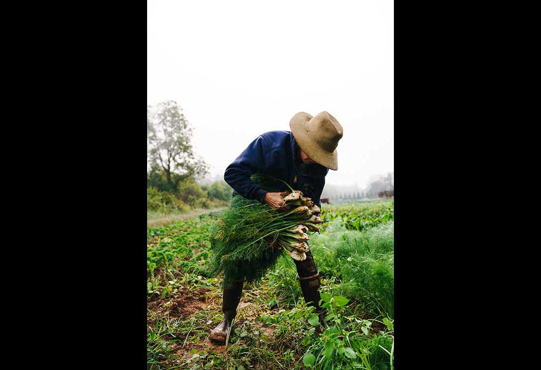 Gaining Ground Farm photo 4