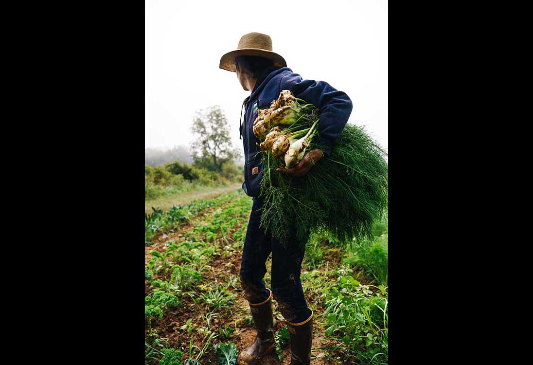 Gaining Ground Farm photo 5