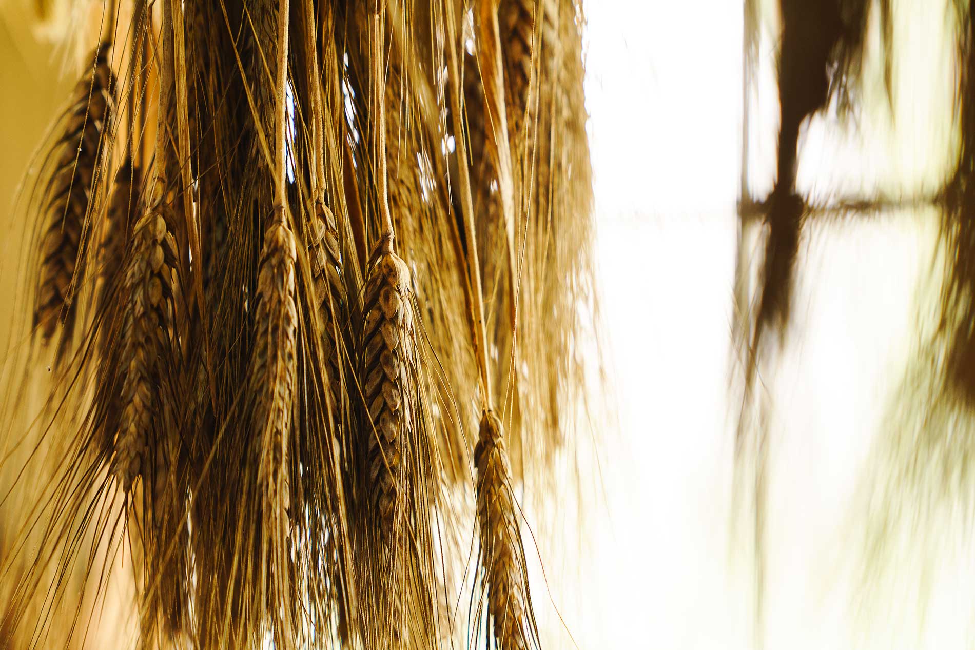 Gaining Ground Farm photo 20