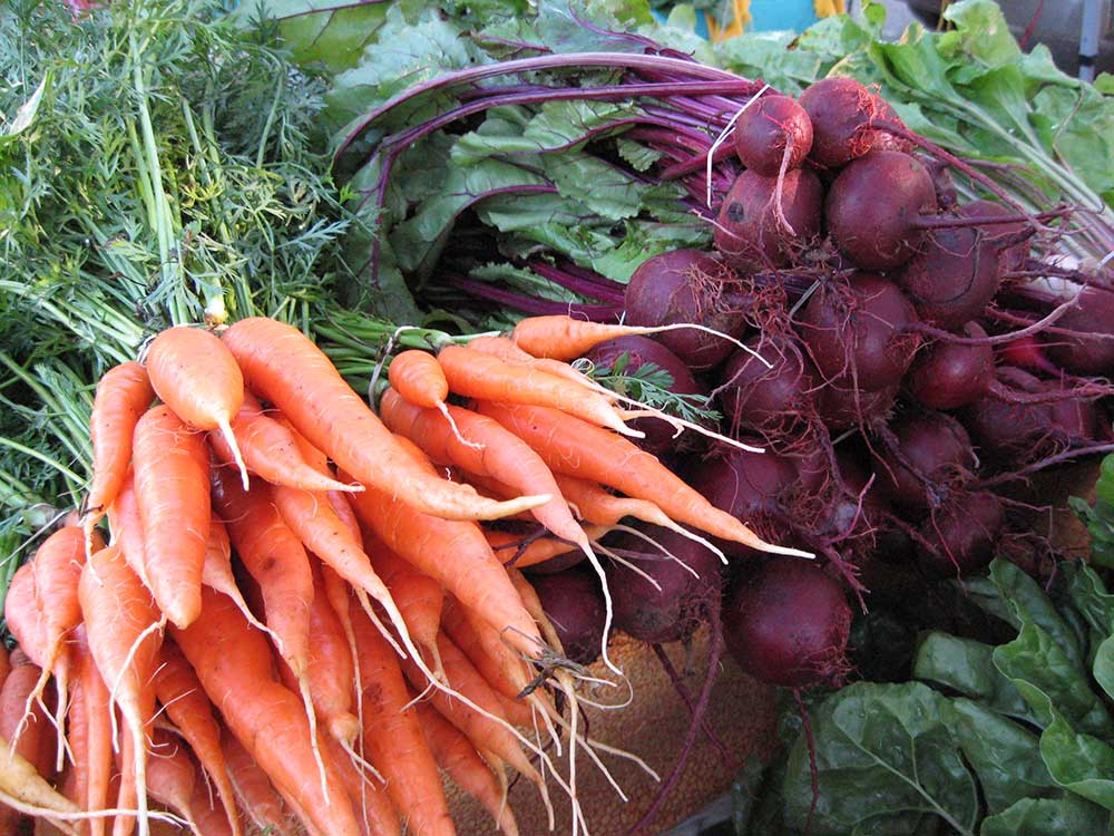 Gaining Ground Farm photo 24