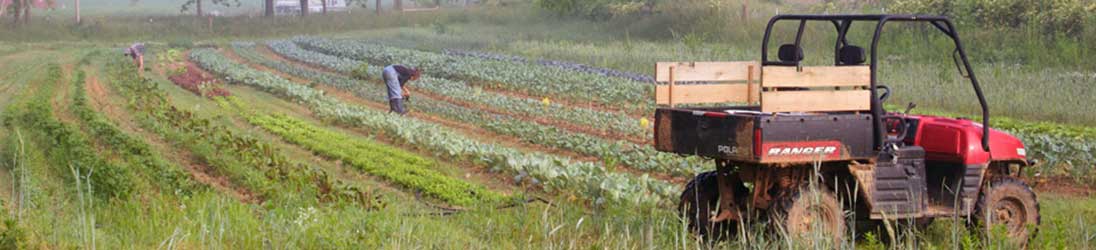 Gaining Ground Farm photo 10